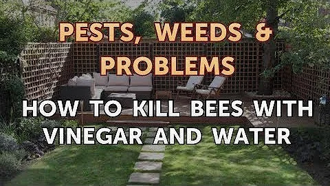 Are bees attracted to vinegar?