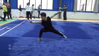 Taolu part 1 - Wudangshan International Wushu Academy, Wuhan Institute of Physical Education by Wushu Vision 4,574 views 5 years ago 6 minutes, 24 seconds