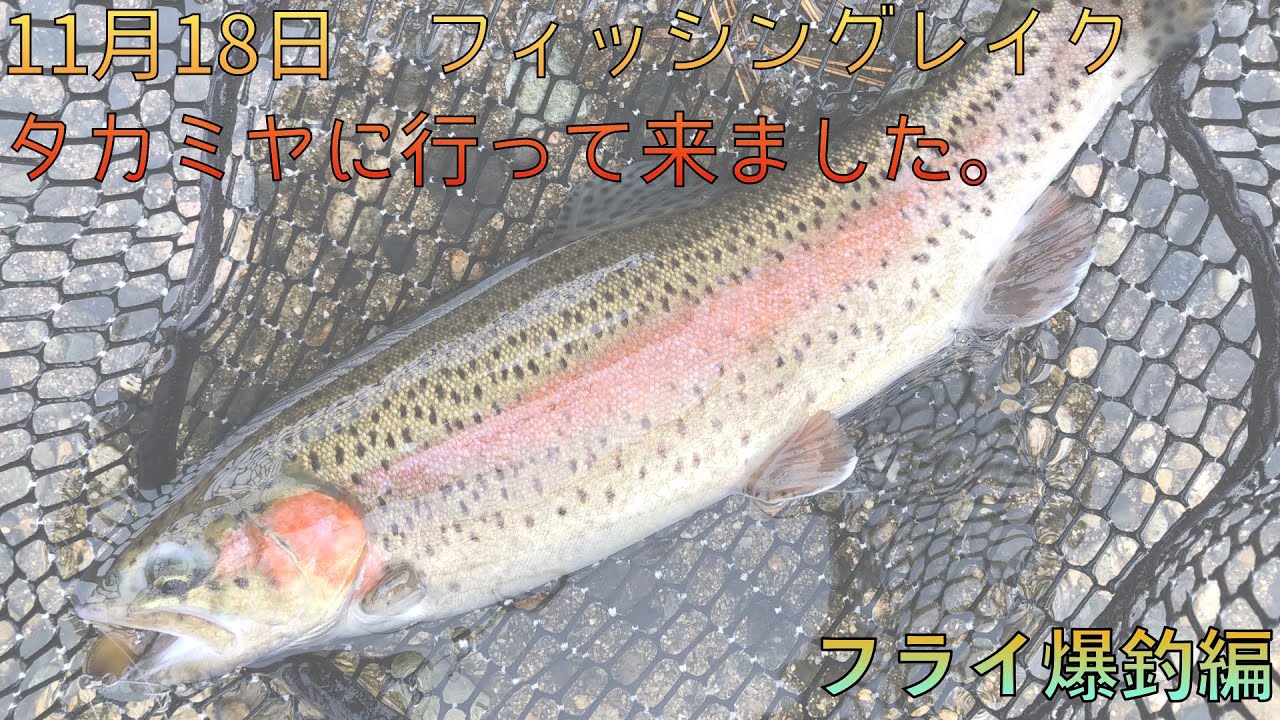 フィッシングレイク タカミヤ釣行 Youtube フィッシングレイク タカミヤ釣行 Youtube