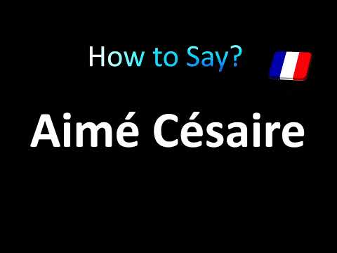 فيديو: Aimé Césaire دليل المطار الدولي