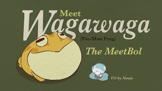 Meet the MeetBolz | Wagawaga the Pacman Frog