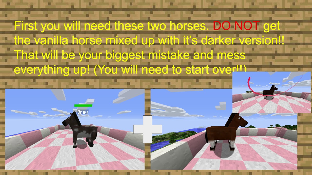 Mo' Creatures horse breeding guide! (google slides) - YouTube