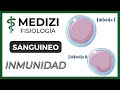 Clase 34 Fisiología Sanguínea - Inmunidad (Linfocitos T y B)
