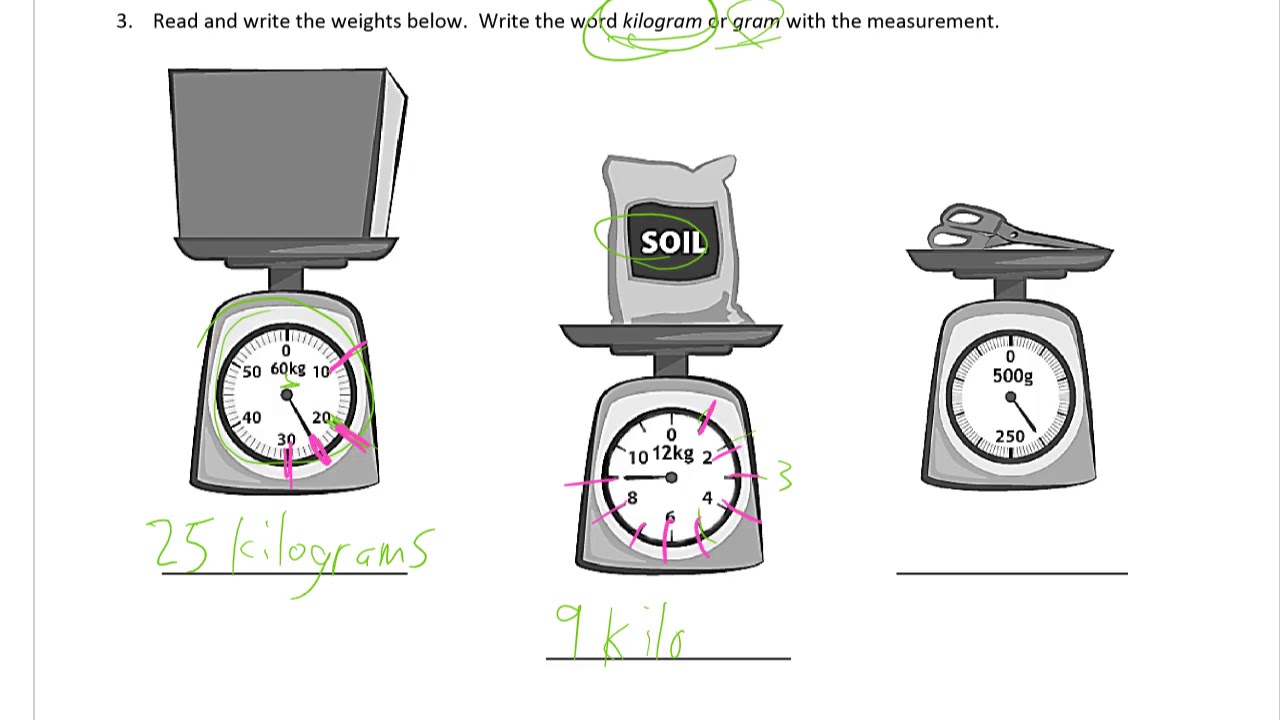 lesson 7 homework grade 3