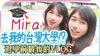 Mira終於來台灣找我了! 但卻對我做壞壞的事情 ／海恩