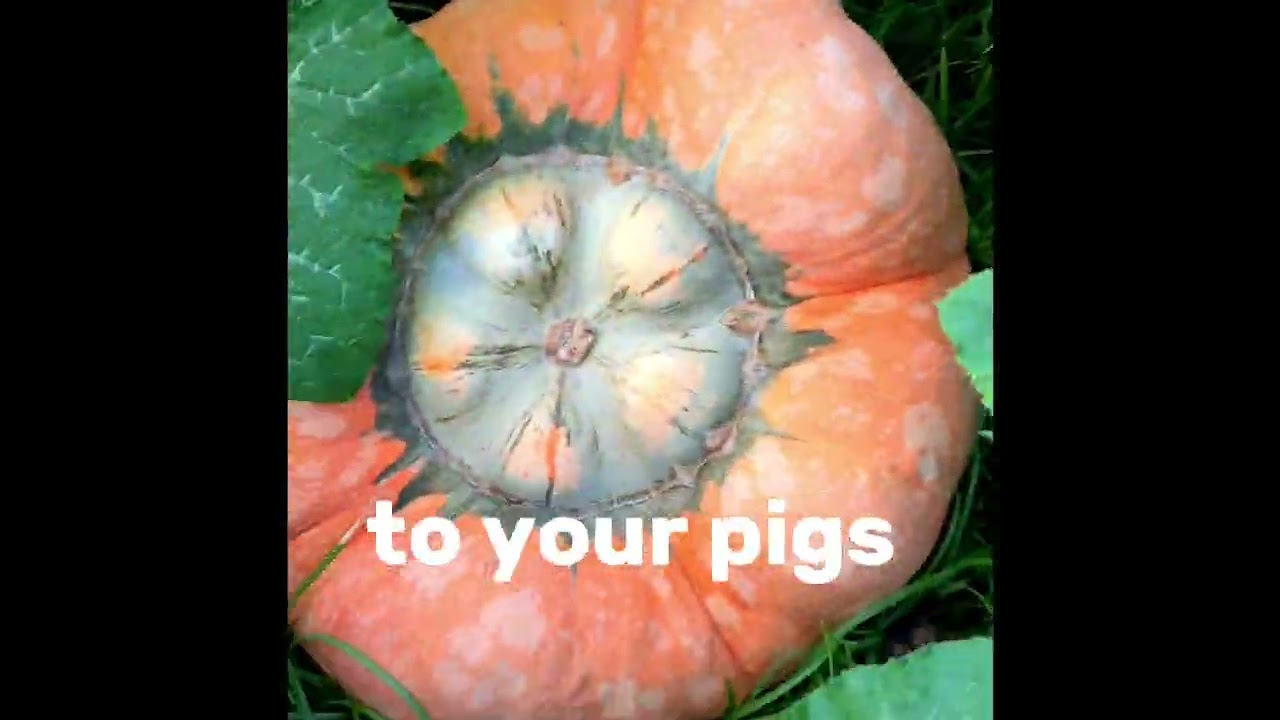 Grow These as Your Survival Food! (No Pantry Required!) #survival #prepping