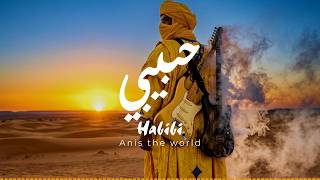 Habibi ( حبيبي ) Tuareg Sahara Fusion Guitar #tuareg #gnawa #fusion #sahara #music
