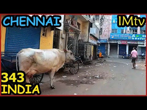 Video: Forskjellen Mellom Chennai Og Madras