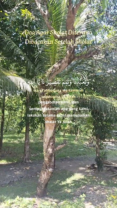 Do'a Agar Ibadah di Terima Alloh SWT, Rutin di baca Sesudah Sholat