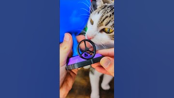 3D-geprinte drijvende ballon-hovercraft met propeller #3dprinting