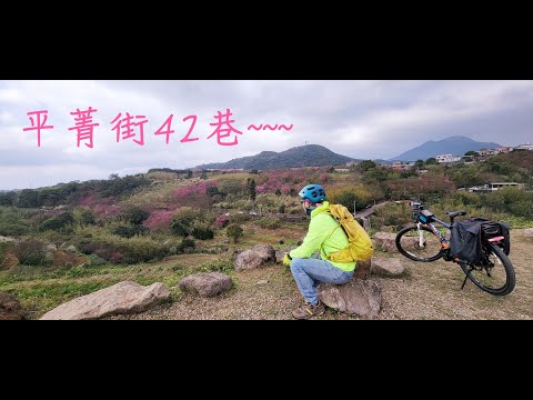 平菁街42巷