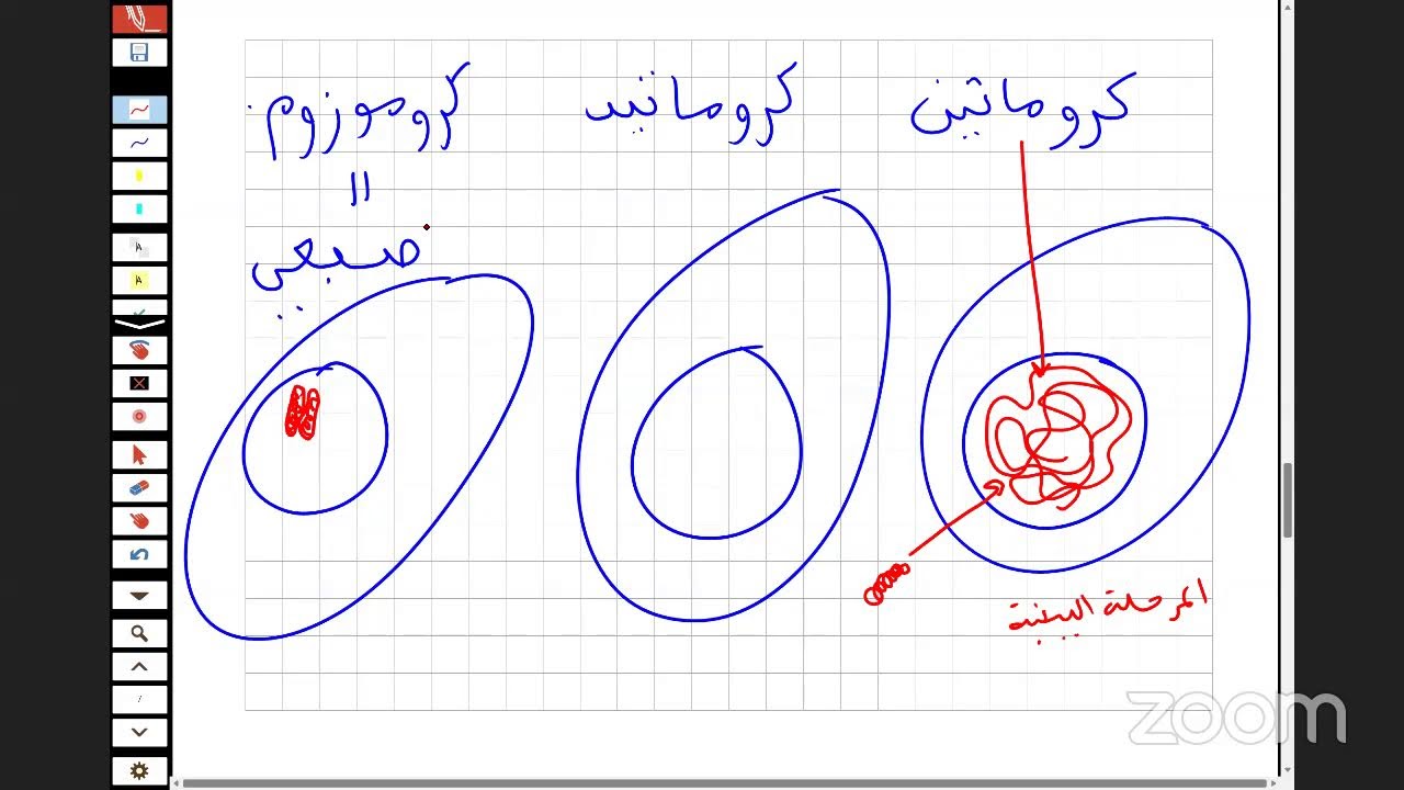منهجية كتابة نص علمي مستوى ثانوي