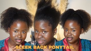 HOW TO DO A SLEEK BACK PONYTAIL WITH LESS THAN $20 | VERY DETAILED VIDEO