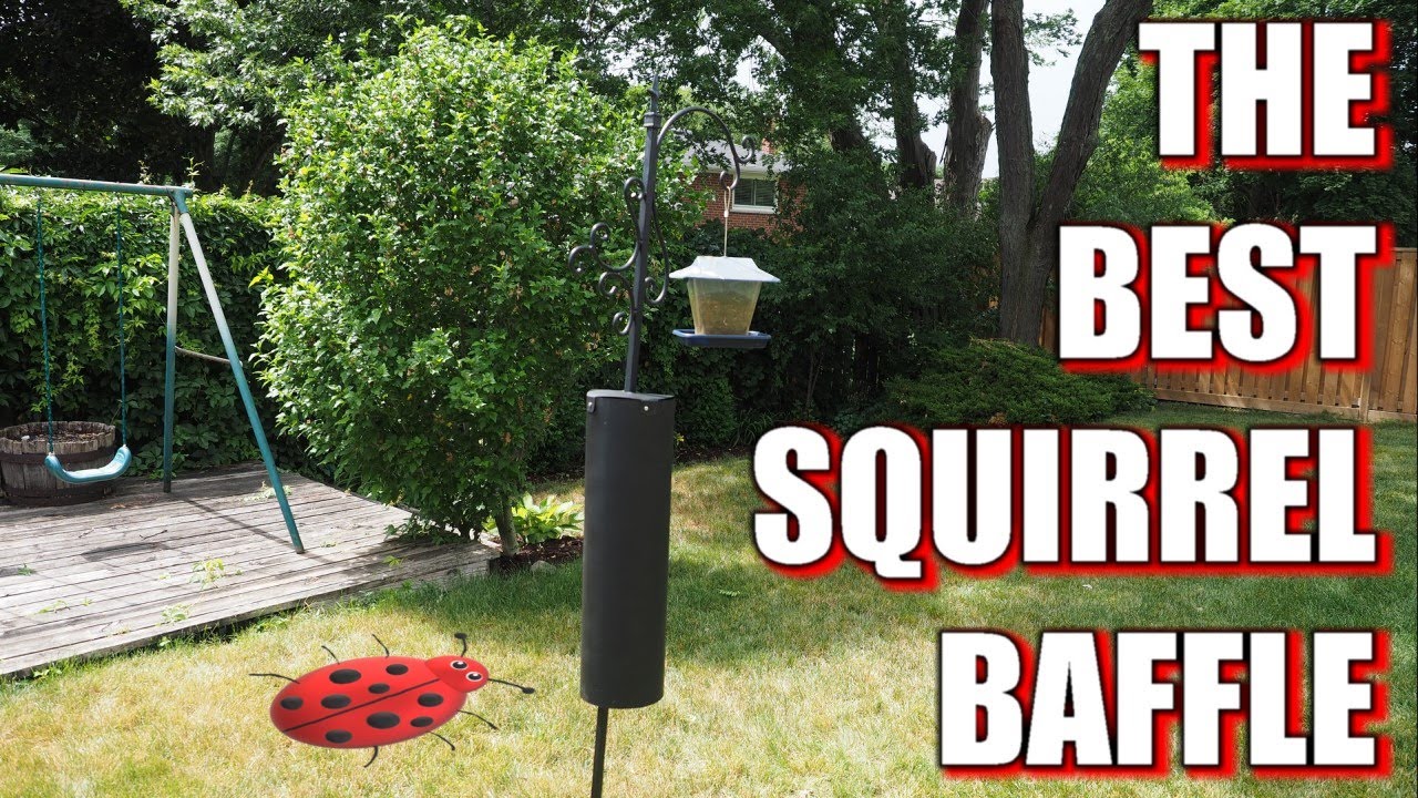 New + Improved Squirrel Baffle 2020!!! Only $10