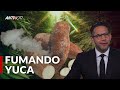 ¿Será Que Ahora La Yuca Se Fuma? | Antinoti