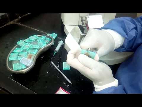 فيديو: كيفية قطع العينات
