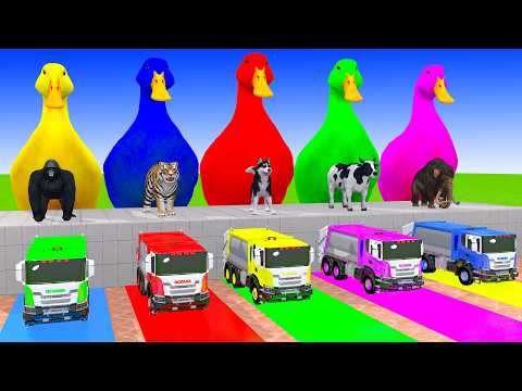 Long Slide Game With Cow Elephant Gorilla Hippopotamus Tiger 3d Animal Game Funny 3d Animals