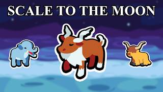 This Pet Make 5 of a Kinds Easy