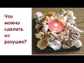 Что можно сделать из ракушек своими руками?