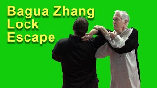 Bagua Zhang Fighting Application - Pluck the Helmet vs. Elbow Lock screenshot 3