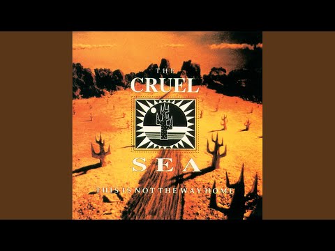 This Is Not The Way Home - The Cruel Sea