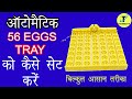 Automatic 56 egg tray for incubator || How to Assemble Automatic Egg Turner Tray #incubator