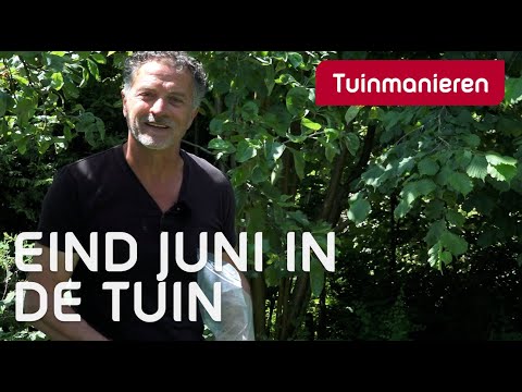 Video: Begin 'n botaniese tuin: leer wat botaniese tuine doen