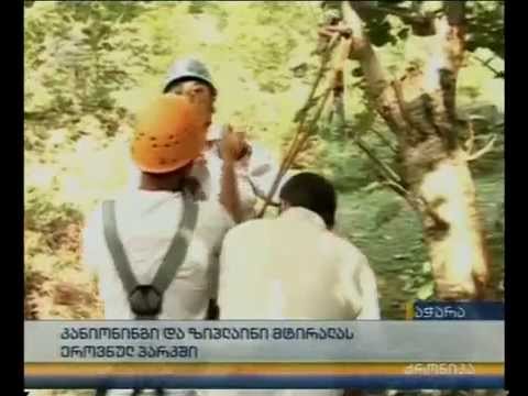 კანიონინგი და ზიპლაინი მტირალას ეროვნულ პარკში