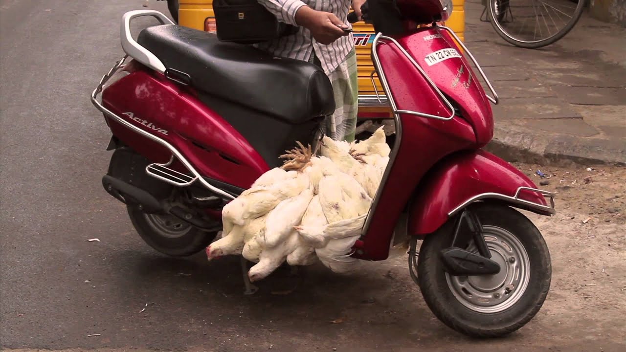 Madras good ol' Madras ROUGH CUT (Ghost Version)