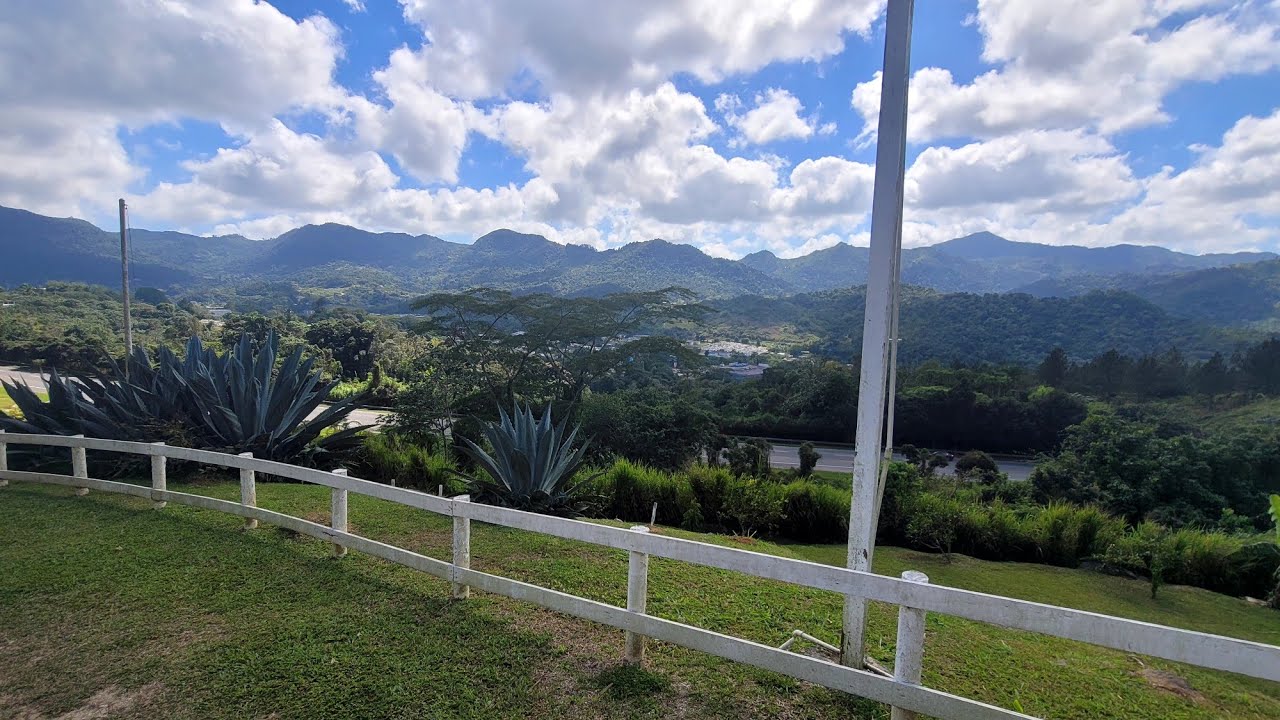 COSTA Y MONTAÑA (SANTA ISABEL Y ADJUNTAS)