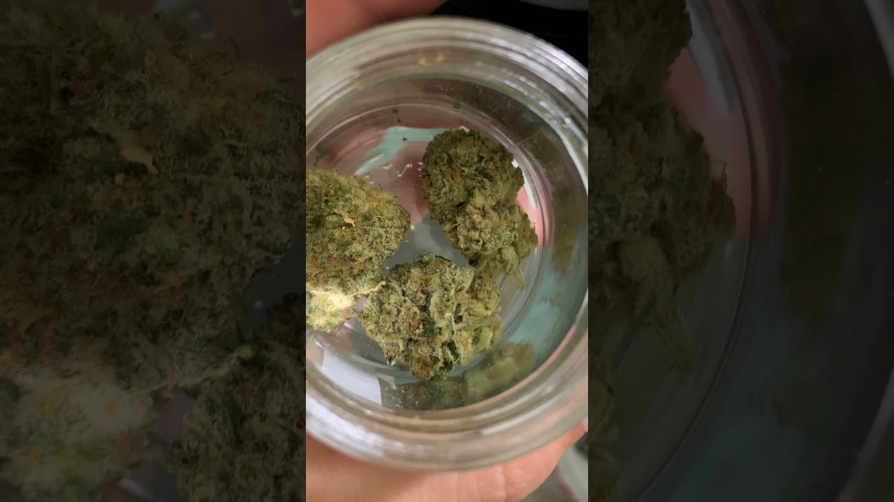 ANIMAL MINTS STRAIN BY FLORACAL 