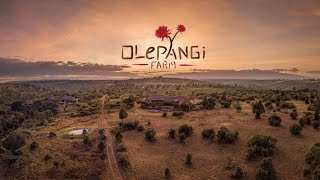 The story of Olepangi Farm
