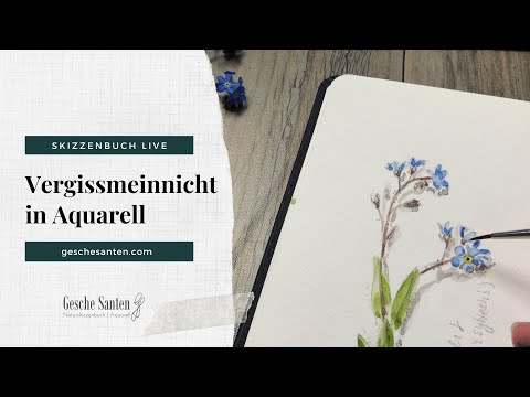 Video: Wie Zeichnet Man Ein Vergissmeinnicht