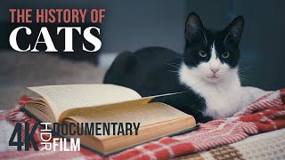 The History of CATS: From Fierce Predators to Sweet Pets  4K HDR Animal Documentary Film