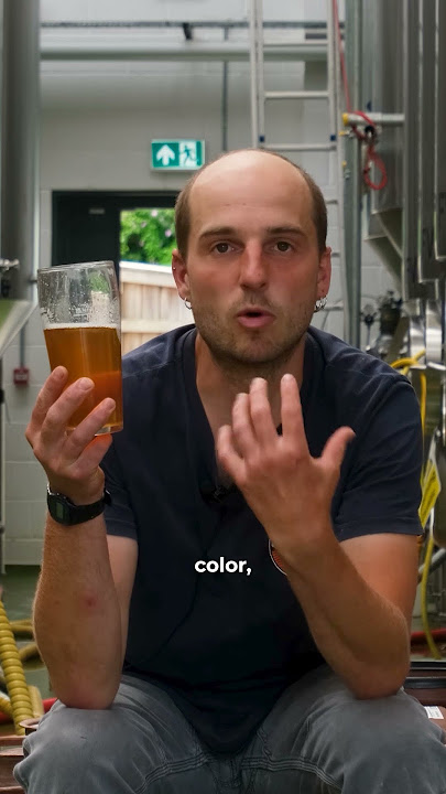 Pale Ale Vs Golden Ale 🍺