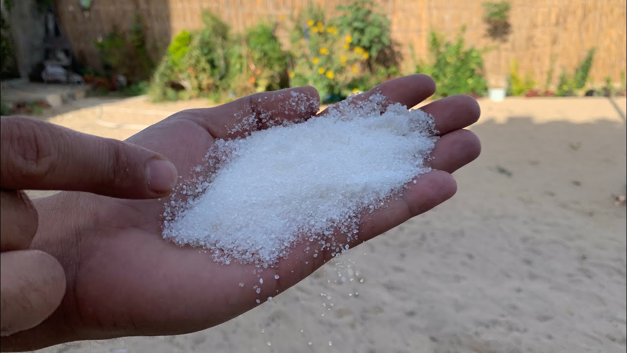 تسريع نمو النبات تقوية جذوره إزهار ثمار🌿تخصيب التربة والقضاء على النمل🐜ملعقة من هذا المسحوق🥄شاهد