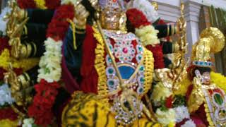 Maha Rudra Yaagam -  Day 5