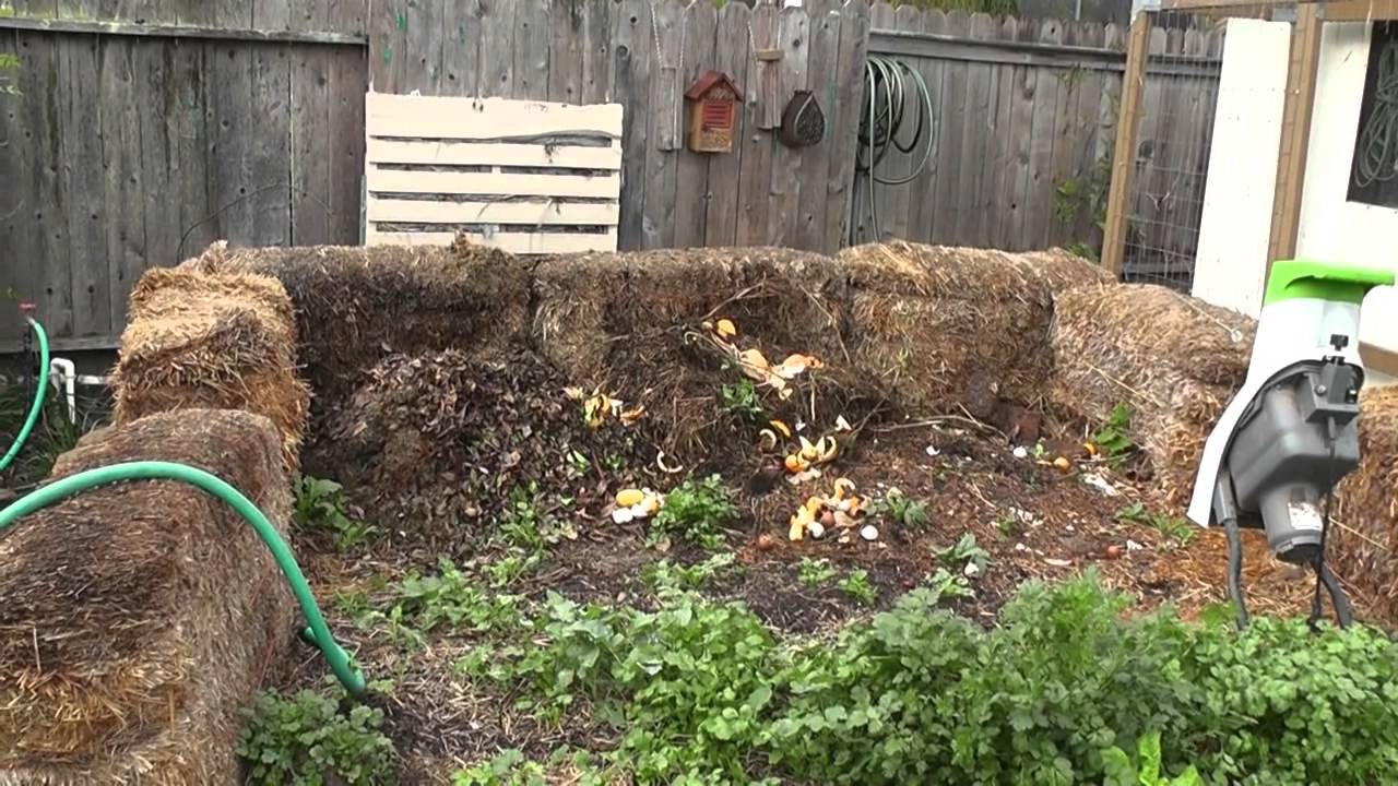 Winter Garden Update at Suburban Stone Age February 2015