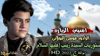 عايش عالدمع صيتي 💔 مرقدج بيتي 🥺 ستوريات السيدة زينب (ع) الرادود موسى البولاني ❤️ مونتاج 2022 HD ✔️