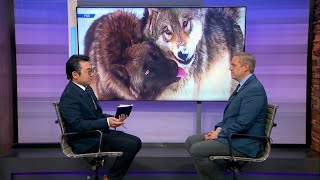 WesternSlopeNow talks with Rep. Jeff Hurd about The Pet and Livestock Protection Act