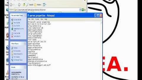 How to easily set up a server in minecraft 1.1.0 with hamachi