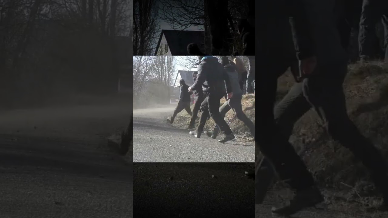 Лучшие моменты ралли WRC 1