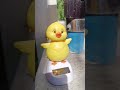 Funny duck  dance subscribe shortstrending viralfunny entertainment