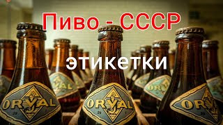 Пиво СССР   этикетки