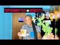 HEALTH BENEFITS OF PEPPERMINT TEA| How to make it | Why you should drink Peppermint tea!