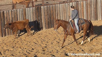 Downtown Dulce - cow work! - ValleyViewRanch.net