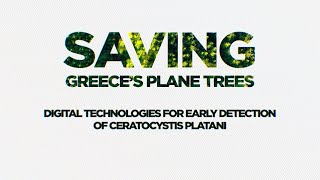 Stella Use Case In Evia, Greece Safeguarding Plane Trees Under Threat