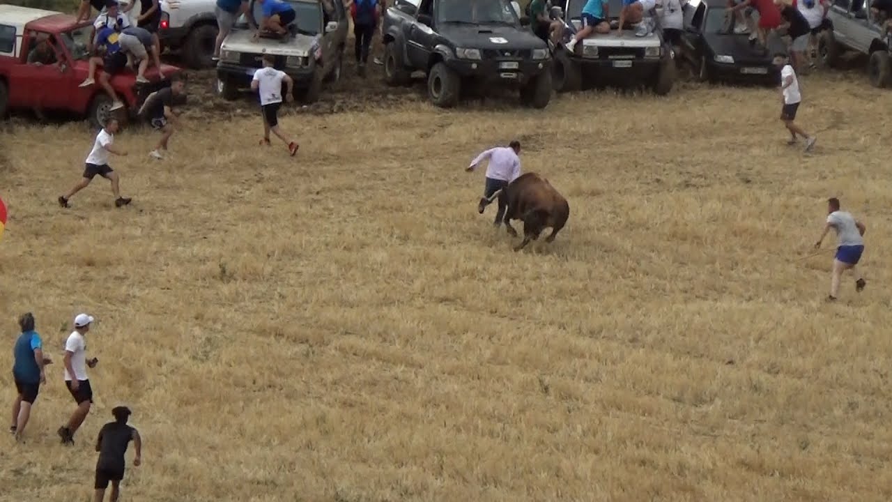 Todo se quedó en un Susto Torre del Burgo (Guadalajara) 01 - 08 - 2025 GuadaEncierros