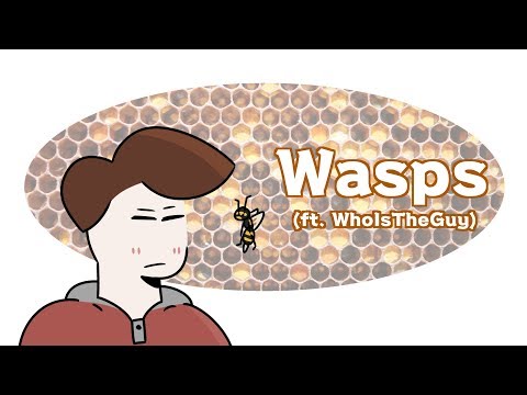 Wasps (ft. WhoIsTheGuy)