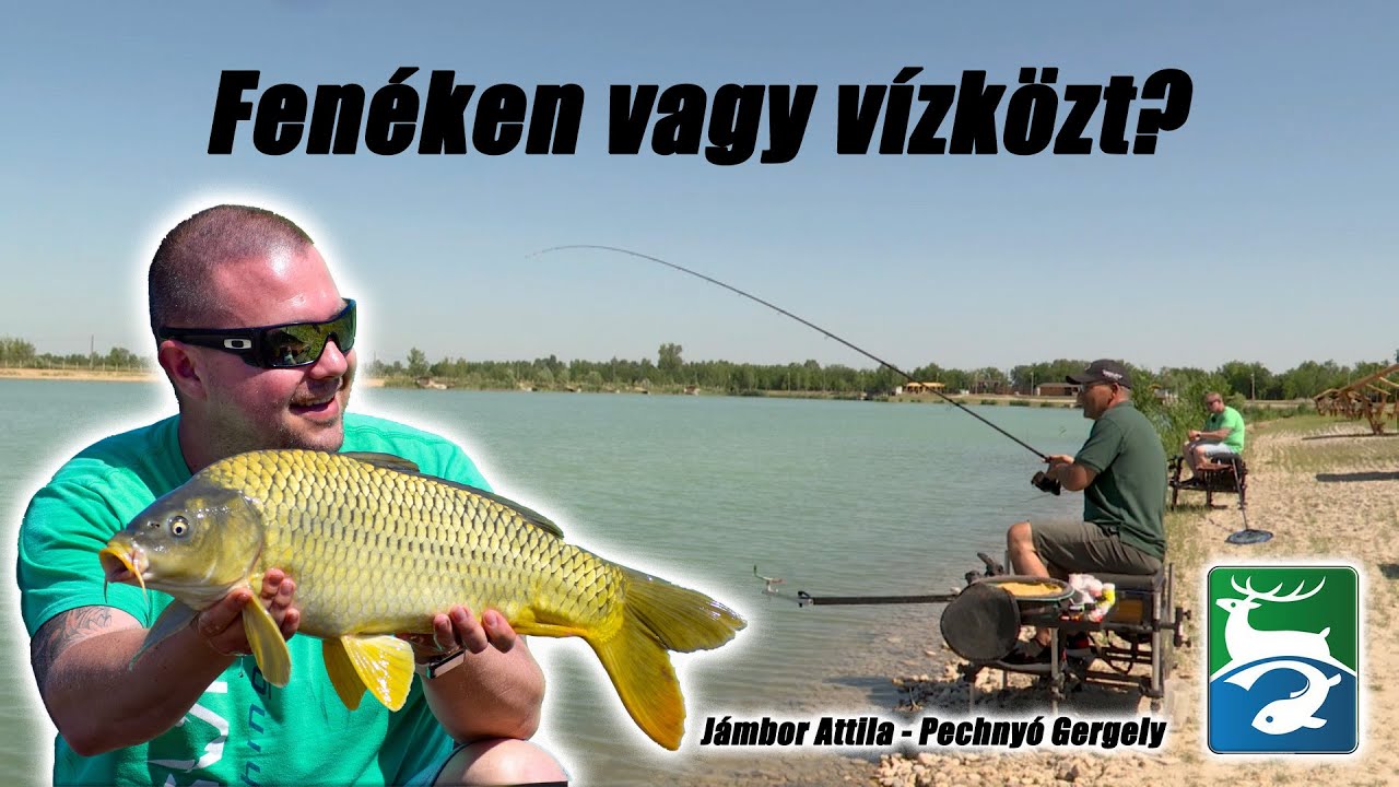 DOVIT FEEDER - Fenéken vagy vízközt?